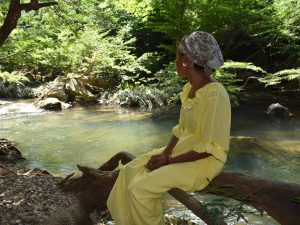 Graves hallazgos de la Contraloría sobre arroyo desviado por Cerrejón